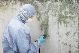 Best Mold Prevention Services in USA